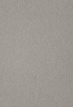 2428 Elements New Blind