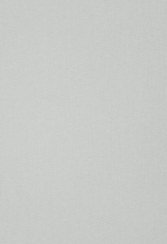 4554 Elements New Blind