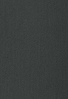 4559 Lumiere RD New Blind