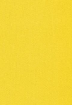 4562 Lumiere RD New Blind