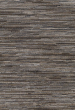 6431 Yunlin RD New Blind