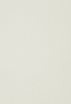 6436 Elements New Blind