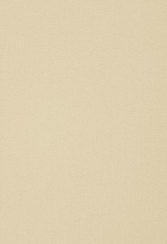 6441 Elements New Blind