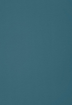 6444 Elements New Blind