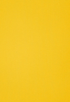 6445 Elements New Blind