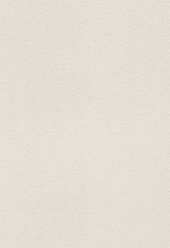 6448 Oyster Topar New Blind