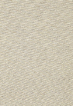 6450 Yanna New Blind