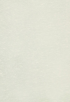 6490 Kirtana New Blind