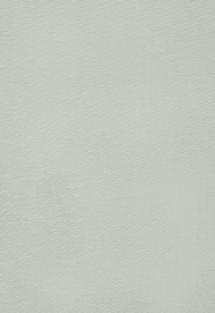 6491 Kirtana New Blind