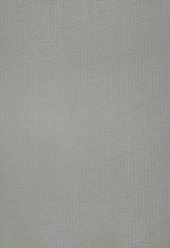 6492 Kirtana New Blind