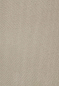 6493 Kirtana New Blind