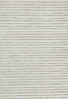 6524 Palister New Blind