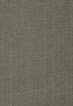 6532 Lylith New Blind