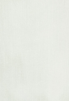 6533 Polaris New Blind