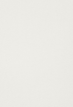 6803 Elements New Blind