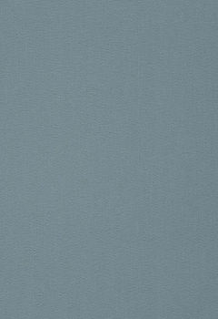 6804 Elements New Blind