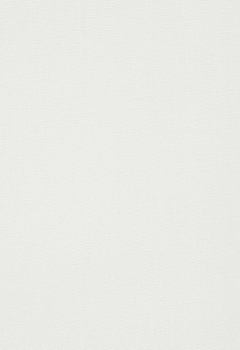 6813 Dense New Blind