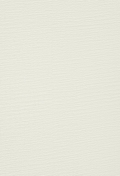 6819 Basalt New Blind