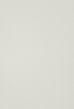 6831 Elements New Blind