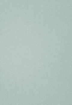 6833 Elements New Blind