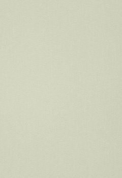 6834 Elements New Blind