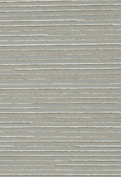 6843 Palister DO New Blind