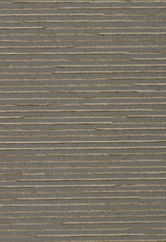 6845 Palister DO New Blind