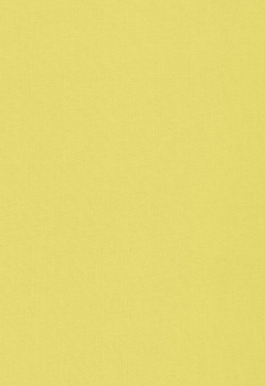 6868 Esterno RD New Blind