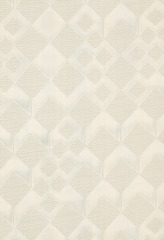 7368 Canyon New Blind