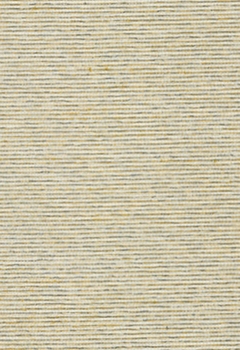 7378 Cera Thumbnail image