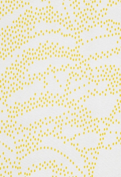 7475 Barolo New Blind