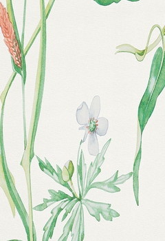 7478 Forio New Blind