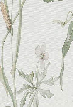 7479 Forio RD New Blind