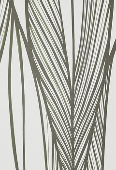 7491 Corato New Blind