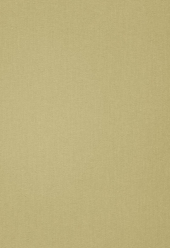 7501 Elements New Blind