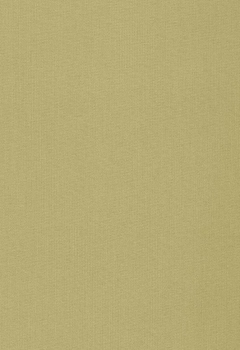 7518 Lumiere RD New Blind