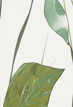 7532 Rosate New Blind