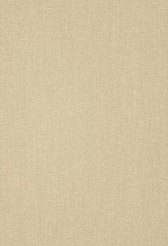 7538 Dense New Blind