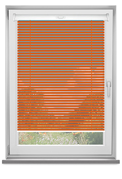 Burnt Orange 25mm 