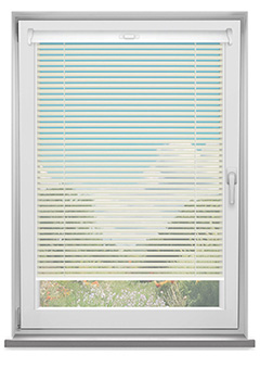 Coconut TSC 25mm New Blind