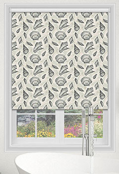 Seashell Greyish 