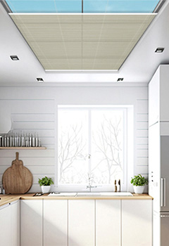 Dimout Taupe 