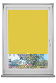 PF Polaris Chartreuse Blockout New Blind