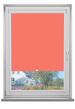 PF Polaris Coral Blockout 