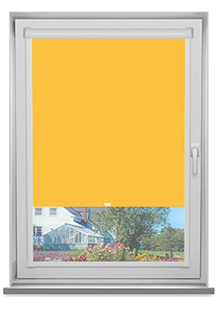 PF Polaris Sunshine Blockout 