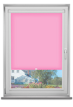 PF Polaris Bubblegum Dimout 