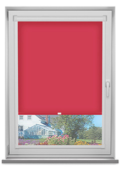 PF Polaris Poppy Dimout 