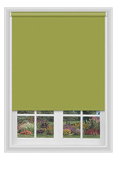 Atlantic Lime New Blind