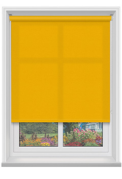 Palette FR Dijon 