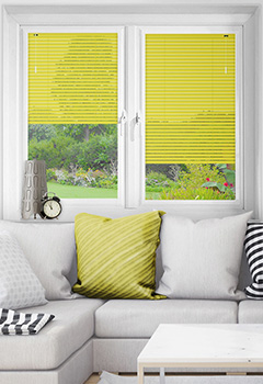 Buttercup Thumbnail image